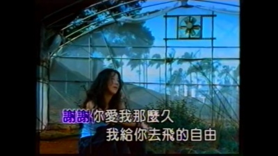 蓝心湄 - 忘了