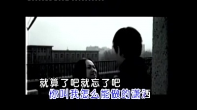 李天华 - 放手