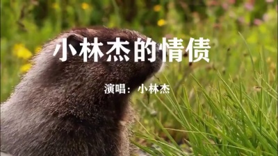 翁培伦 - 你欠下的罪