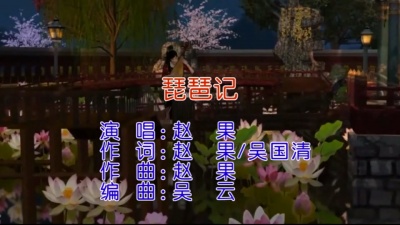 赵果 - 琵琶记