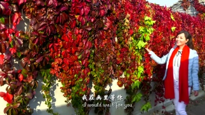 张可儿 - 人头山上