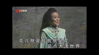 陈燕妮 - 我就是花