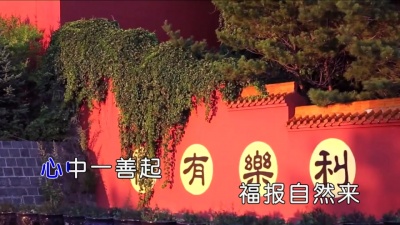 路勇 - 一藕一莲一荷花