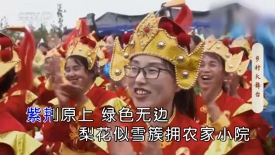 张皓强 - 蒲城酥梨请你尝