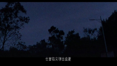 Zyboy忠宇 - 起风了