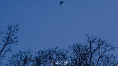 小乐哥(王唯乐) - 兰亭序
