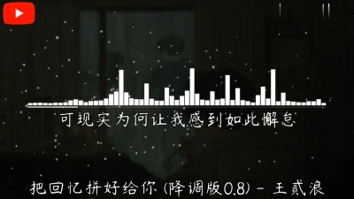 豆豆果 - 喆ya《王贰浪 (把回忆拼好给你)》0.8X