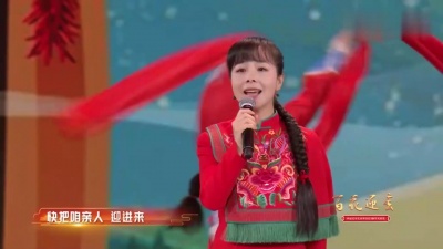 秦勇、李晓东、王二妮、杜朋朋 - 陕北情
