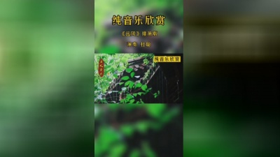 豆豆果 - 杜聪《远风》纯音乐