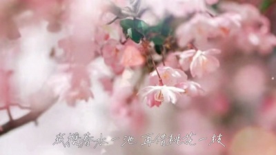 闻人听書_ - 恋与春日