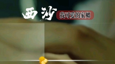 破音王 - 【老磁带资源】西沙我可爱的家乡_华语群星