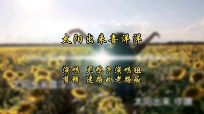 迷路的老路痴 - 太阳出来喜洋洋