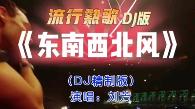 无言的结局 - 刘芳&东南西北风(流行热歌DJ版)
