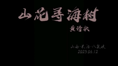桦 - 黄诗扶 《山花寻海树》