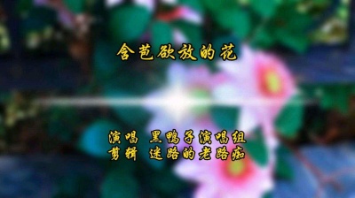 迷路的老路痴 - 含苞欲放的花