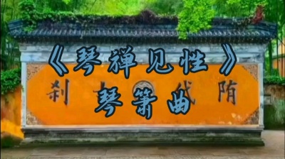 人海茫茫 - 琴箫合奏《琴禅见性》空灵悠远，养心静心，给心灵一个洗礼……