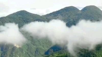 战狼哥 - 雾锁南洋