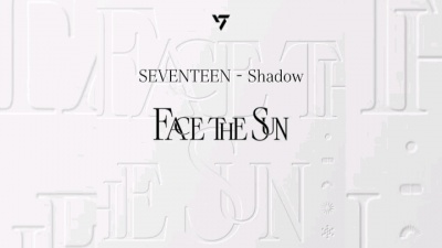 说我不懂细节 - SEVENTEEN正规四专辑收录曲shadow