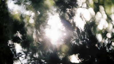 小瀬村晶 - Faraway