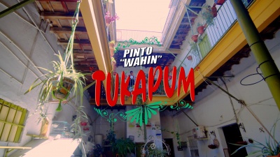 Pinto &quot;Wahin&quot; - Tukapum