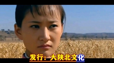 萧民制作 - 风吹桃花红》刘妍演唱影视版