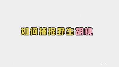 喜欢鞭尸的蔷薇刺客 - 如何捕获野生胡桃？