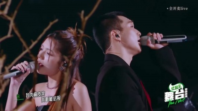 蔡维泽、李佩玲 - 凤毛麟角