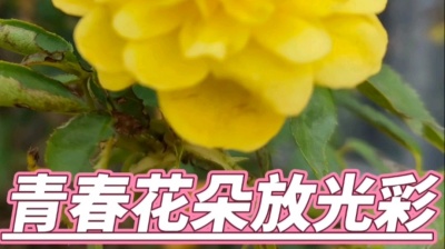 ynkg111 - 祖国春常在