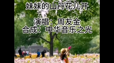 晨光 - 妹妹的山丹花儿开 (西北民歌) - 周友金