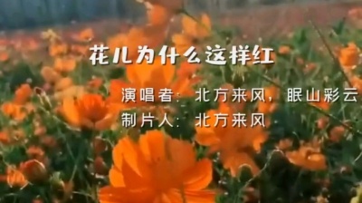 北方来风 - 花儿为什么这样红