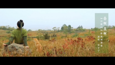 宋宇宁 - 你啊，我啊