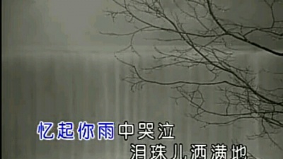 贾梦飞 - 泪的小雨