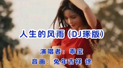 龙年吉祥_徐 - 人生的风雨（DJ琢版）演唱者:乖宝 音画:兔年吉祥☆徐☆