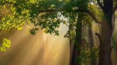 富察丹妮 - 满满的回忆 《校园的早晨》经典回放 王洁实与谢莉斯的默契