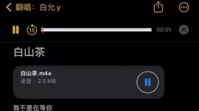 白允y - 白山茶
