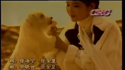 张咪 - 蓝蓝的夜,蓝蓝的梦