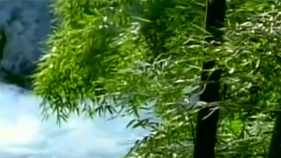 悦。 - 纯音乐《乌苏里船歌 古筝演奏》