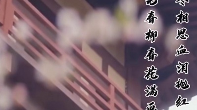 五毛剪辑I古风纯音 - 《片片相思赋予谁》