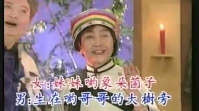 胡松华 - 马铃儿响来玉鸟儿唱 (KTV版)
