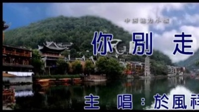 于凤翔 - 你别走