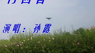 此音乐只因天上有 - 孙露一首《再回首》歌声婉转悠扬，清脆悦耳，让人陶醉！