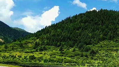 情侣头像 - 龙腔雅调，金典三十年