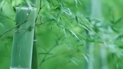 冬日暖阳 - 纯音乐古琴曲:巫娜-《空山幽禅》
