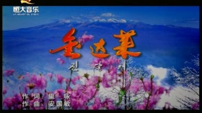 谭晶 - 金达莱