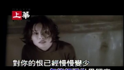 许美静 - 铁窗