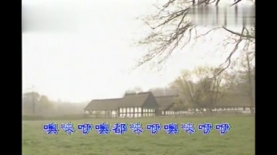 罗天婵 - 孤独的牧羊人
