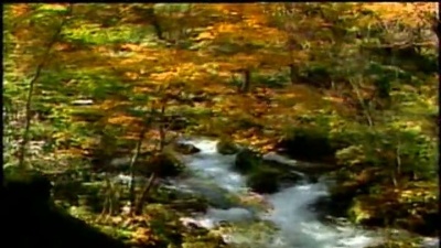 关牧村 - 多情的土地