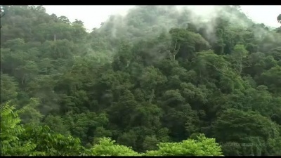衡越 - 庄稼院的歌