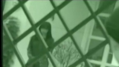 苏永康、彭家丽 - 从不喜欢孤单一个