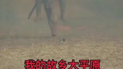 牛他爹 - 牛他爹乐坊～《大平原》